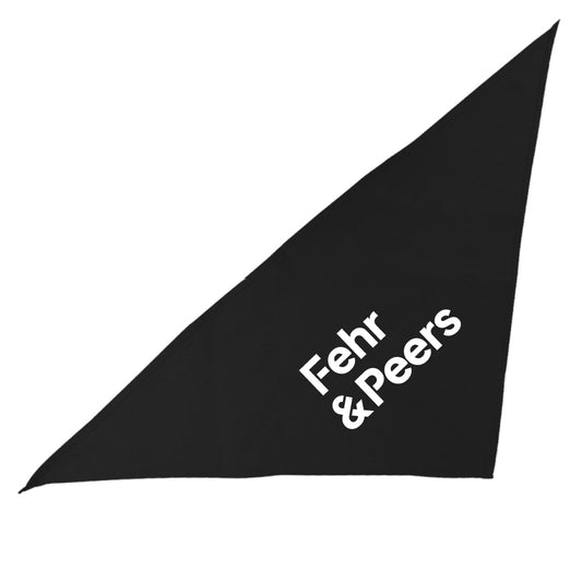 Large Triangle Pet Bandana